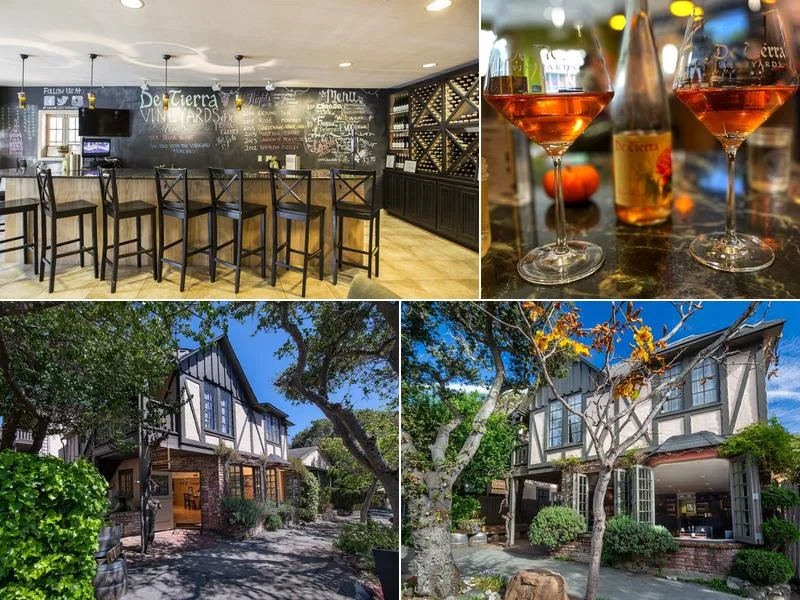 De Tierra Vineyards business photo