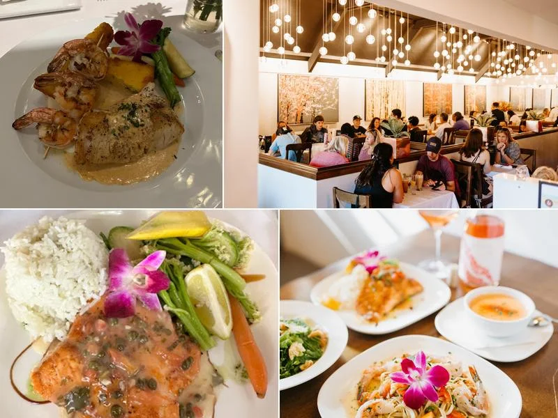 Pangaea On Ocean Ave business photo